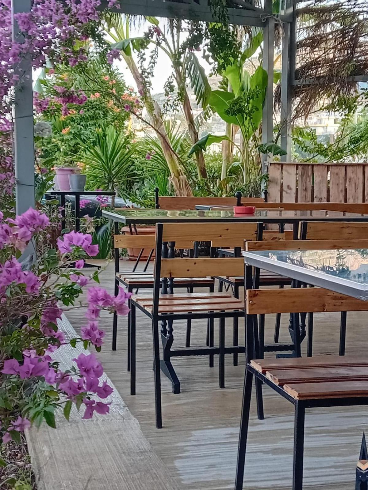 Villa Allkushi Sarandë 外观 照片